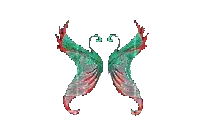 Wing of Illusion