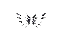 Wings of Darkness