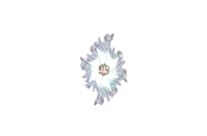 Elven Shield